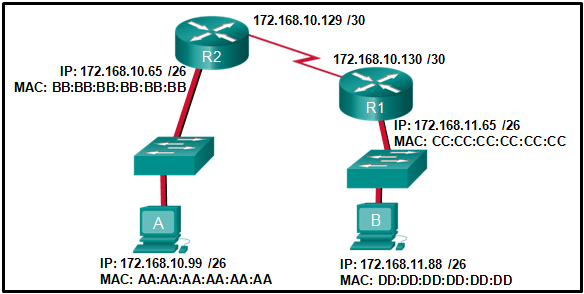 CCNA 1 v7.0 Final Exam Answers Full – Introduction to Networks